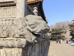 -北陵公园