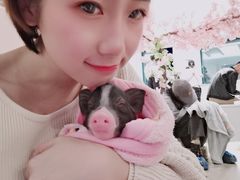 -浣熊柯尔鸭土拨鼠·电玩咖