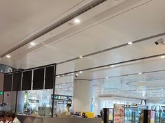 -麦当劳(北京大兴机场二层国内到达(安检外)店)