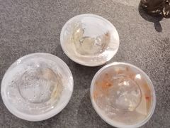 -大福来锅巴菜(古文化街店)