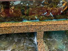 -江杨农产品批发市场