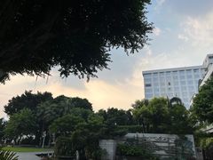 -白天鹅宾馆·流浮阁咖啡厅