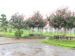 -武汉紫薇都市田园