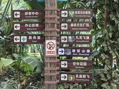 -西双版纳原始森林公园