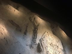 -侵华日军南京大屠杀遇难同胞纪念馆