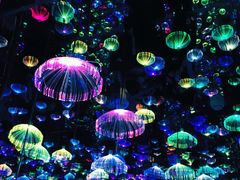 -梵高星空艺术馆(北京旗舰店)