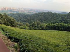 -敬亭山风景名胜区