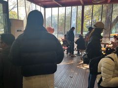 -鸡鸣汤包(红山动物园店)