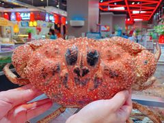 -盒马X会员店(王府井奥莱UP TOWN店)
