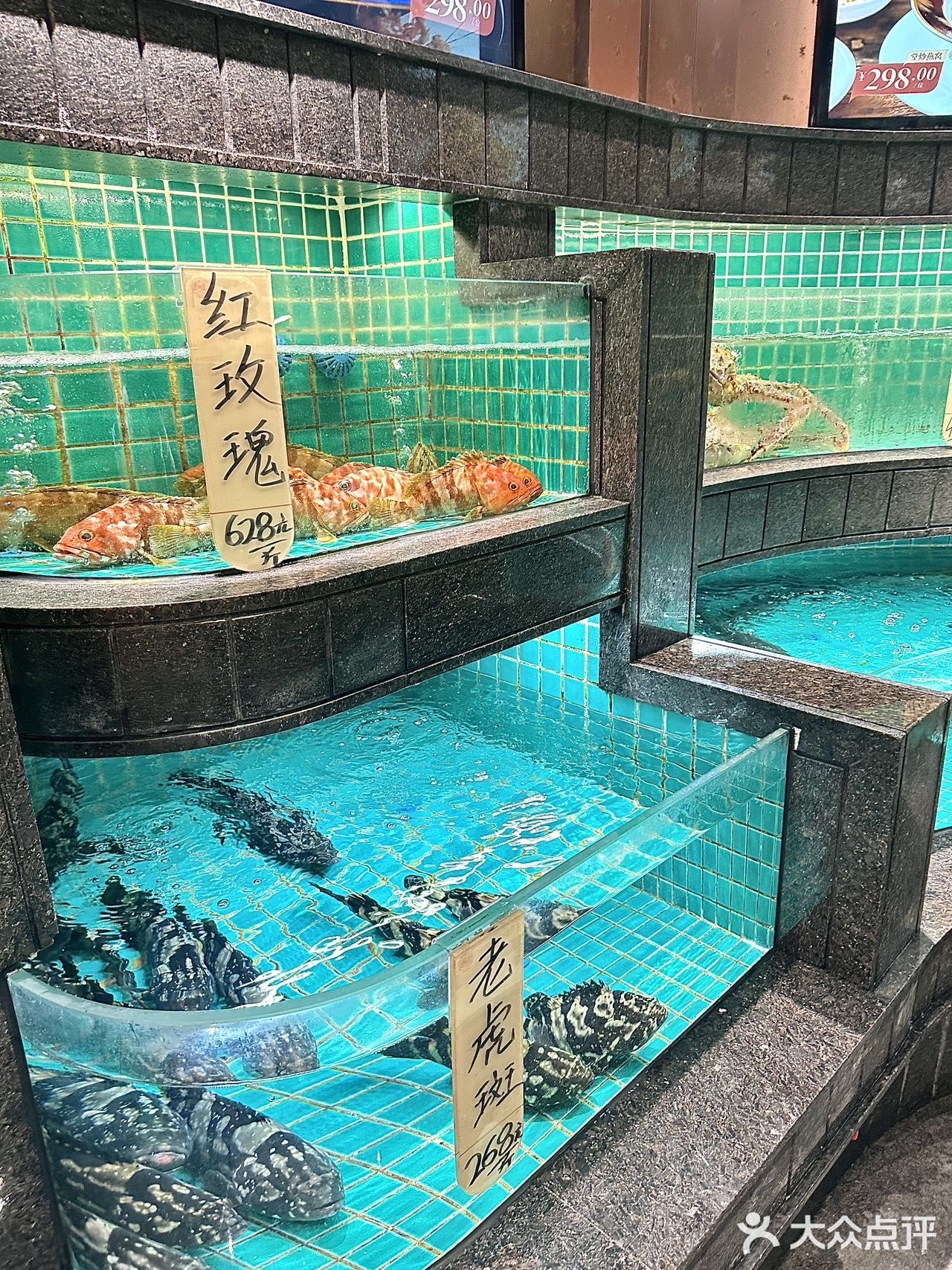 🍵佛山千灯湖茶楼天花板，极致享受[害羞]