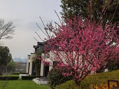 -天目湖涵田度假村