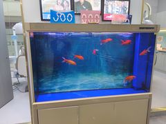 -段博仕口腔(天水万达店)