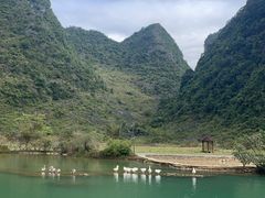 -靖西鹅泉风景区