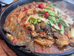 -老板恋上鱼(恒隆广场店)