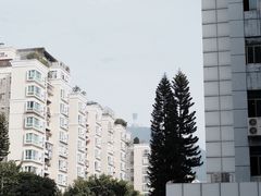 -尤加利咖啡馆
