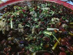 -东吴霸王兔(松青路店)