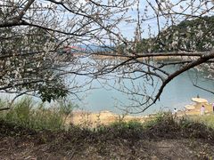 -广州市流溪河国家森林公园