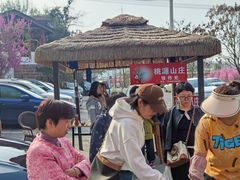 -桃源山庄·水蜜桃采摘·柴火鸡·烧烤团建(龙泉山店)