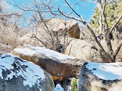 -鲁山国家森林公园