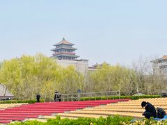 -莲花池公园