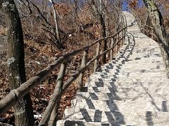 景点-天女山森林公园