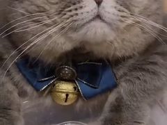 -摩根扒房(桐梓林店)