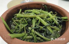 Ningdu Leibo Water Spinach