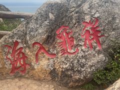 -杨梅坑