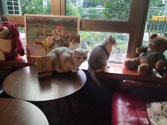 -咖法森林·咖啡  酒吧(天河店)