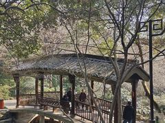 -杭州半山国家森林公园