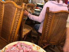 -尚竹阁冬瓜盅·18年地标美食(平洲店)