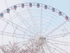 -自然谷恐龙园