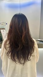 -M6 SALON