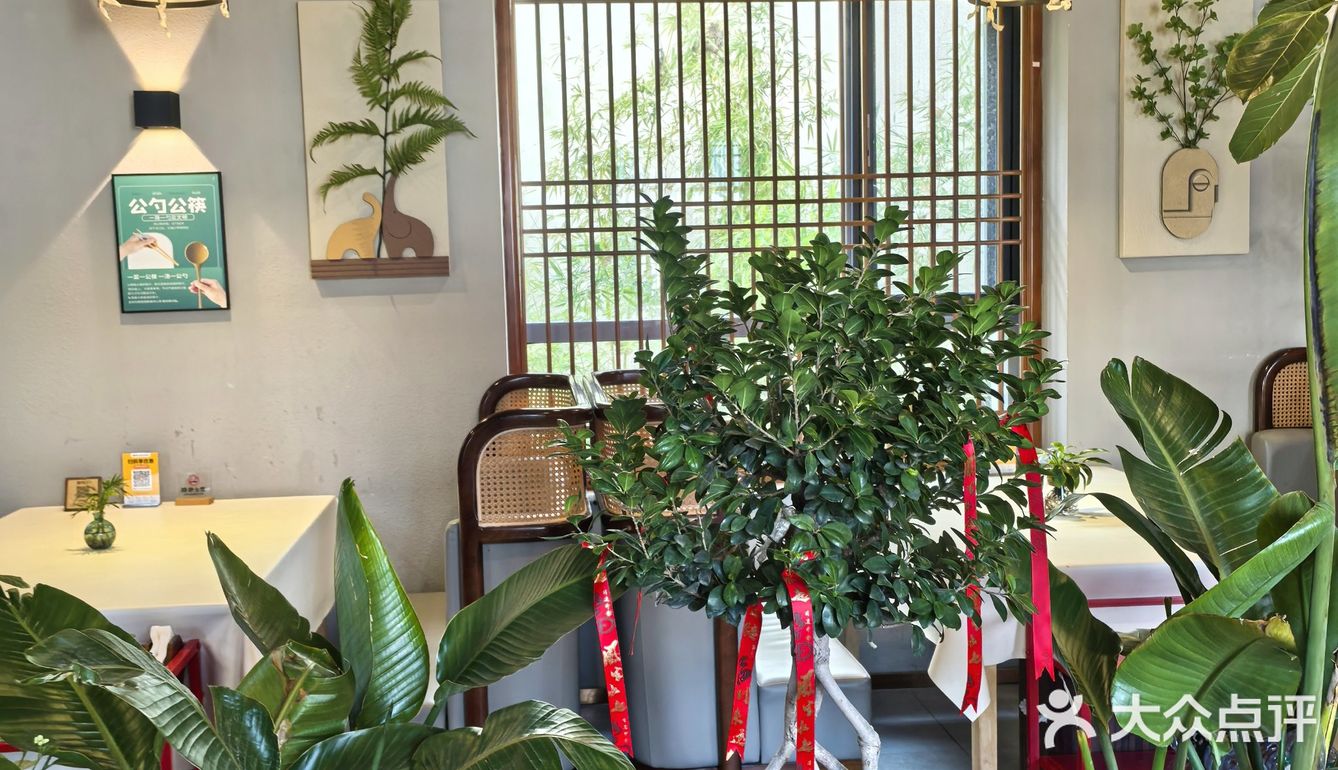 📌梧桐树下的咖啡☕｜不光香还超级浪漫