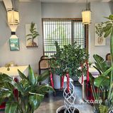 📌梧桐树下的咖啡☕｜不光香还超级浪漫
