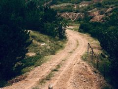 -鄂尔多斯野生动物园