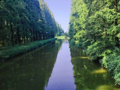 -黄海国家森林公园