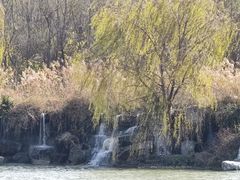 -西安浐灞国家湿地公园