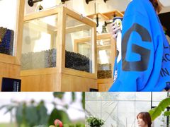 咖啡果实-MUSEO COFFEE咖啡博物馆