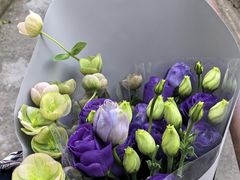 -双季花艺园艺市场(浦东店)