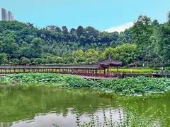 -龙头寺公园