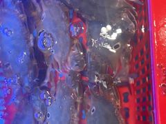 -鹅香四海·卤水火锅·砂锅粥·潮汕菜(宝安店)