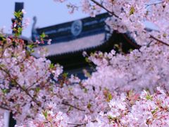-苏州上方山国家森林公园