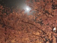 -永乐路-路侧停车场