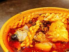 -福苗小骆驼烧烤(莲湖路店)
