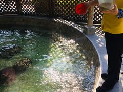 -雅安楠水阁温泉酒店