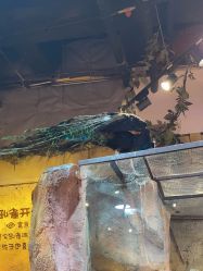 -奇幻萌宠部落(映月湖环宇城店)