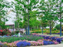 -春花秋色城市公园