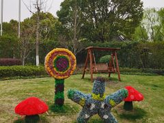 -金山农民画村-枫泾波兰倒置屋