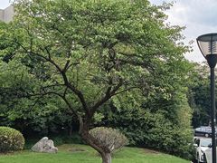 -山外山·林语花园餐厅